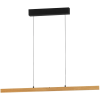 Fischer & Honsel modern függeszték shine-wood fekete olajozott tölgy fhl61102
