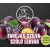 Flair Mojito Kft Szafi Free Fahéjas szilva-szőlő lekvár 350g