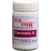Flavitamin Flavitamin Carnosic A kapszula 60db