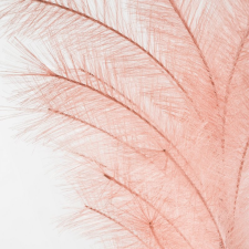  Flore672 tollszerű mű pampafű Púder rózsaszín 110x20 cm dekoráció