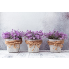  Flori71 öntapadós tapéta, 200 x 150 cm tapéta, díszléc és más dekoráció