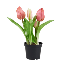 FLORISTA tulipán cserépben, rózsaszín 24 cm dekoráció
