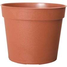 Florus Ebertsankey hajtatócserép átmérője 6,5 cm terrakotta kerti dekoráció