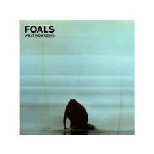 Foals - What Went Down (Limited Clear & Black Vinyl) (Vinyl LP (nagylemez)) rock / pop