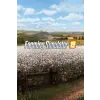 Focus Home Interactive Farming Simulator 19 (John Deere Cotton DLC) (digitális licenc)