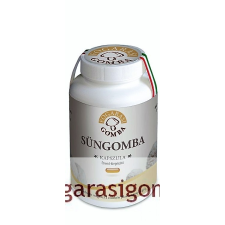 FOGARASI SÜNGOMBA KAPSZULA vitamin és táplálékkiegészítő