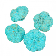  Fokhagyma termés aqua 11dkg/csomag dekorációs kellék