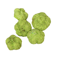  Fokhagyma termés világoszöld 11dkg/csom dekorációs kellék