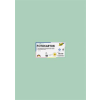 Folia Dekorkarton, 2 oldalas, 50x70 cm, 300 g, 10 lap, FOLIA, menta (FL6125)