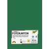 Folia Dekorkarton, A4, 300 g, 50 lap, FOLIA, fenyőzöld (FL6145058)