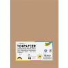 Folia Színes papír, A4, 130 g, 100 lap, FOLIA, világosbarna (FL6472)
