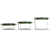 FOODSAVER New Fresh 0,7 + 1,2 + 1,8 l