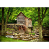  Fotótapéta A malom az erdőből, 300 x 250 cm
