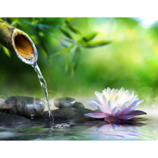  Fotótapéta Bazalt kövek, tavirózsa, bambusz, zen, 400 x 250 cm tapéta, díszléc és más dekoráció