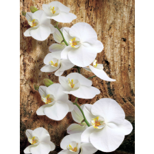  Fotótapéta Orchidea 3D tapéta, díszléc és más dekoráció
