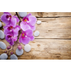  Fotótapéta Pink orchideák kövekkel, 300 x 200 cm