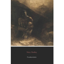  Frankenstein (Illustrated): Original 1818 Uncensored Version – Mary Shelley idegen nyelvű könyv