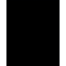 Fred Ehrlich EHRLICH, FRED - OLYAN NINCS, HOGY A VÍZILÓ HÁZAT ÉPÍTSEN! gyermek- és ifjúsági könyv