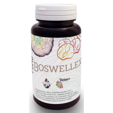 Freyagena FORTE BOSWELLEX 60 kapszula vitamin és táplálékkiegészítő