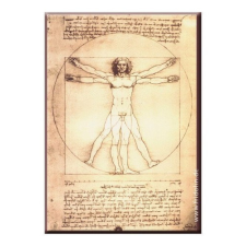 Fridolin Hűtőmágnes 8x5,4x0,3cm,Leonardo Da Vinci.Vitruvius tanulmány hűtőmágnes