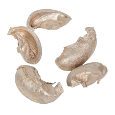  Fül termés pezsgő 15dkg/csom dekorációs kellék