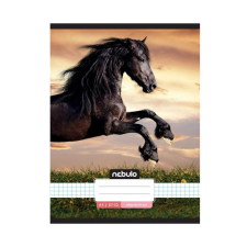  Füzet, A4, kockás, 87-32, L-Design minták, 12 db/csomag Nebulo füzet