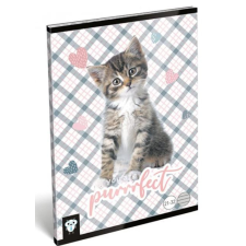  Füzet A/5 21-32 vonalas mintás, margós füzet