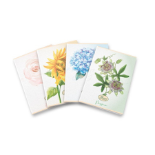  Füzet Pigna Flower special A/4 tűzött 42 lapos kockás margós füzet
