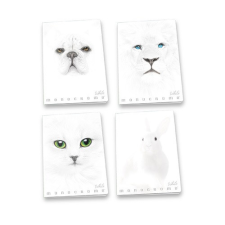 Füzet Pigna Monocromo White A/4 38 lapos kockás füzet