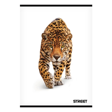 Füzet STREET Safari A/5 54 lapos sima füzet