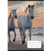  Füzet, tűzött, A5, vonalas, 32 lap, 3. osztály, COOL BY VICTORIA, "Horses", "12-32"