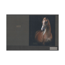 Füzetborító A/4 papírbetétes 420x290 mm Geo Horse füzetborító