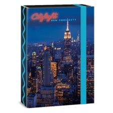 Füzetbox ARS UNA A/4 City light-New York füzetbox
