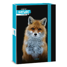 Füzetbox ARS UNA A/4 Máté Bence-Fox füzetbox