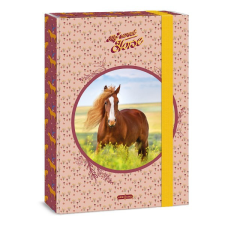 Füzetbox ARS UNA A/4 My Sweet Horse füzetbox