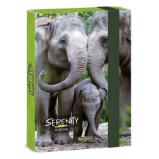  Füzetbox ARS UNA A/5 Serenity Elephant füzetbox