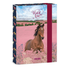  Füzetbox ARS UNA A/5 Wild And Free füzetbox