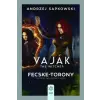Gabo Kiadó Vaják VI. - The Witcher - Fecske-torony | Andrzej Sapkowski