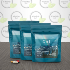 Gal Multivitamin utántöltő - 90 adag vitamin és táplálékkiegészítő