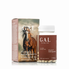 Gal Shoden Ashwagandha vegán kapszula 60 db vitamin és táplálékkiegészítő
