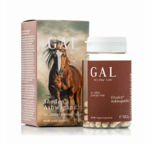 GAL SynergyTech Zrt. GAL Shoden Ashwagandha vegán kapszula 60 db vitamin és táplálékkiegészítő