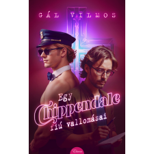 Gál Vilmos - Egy Chippendale-fiú vallomásai egyéb könyv