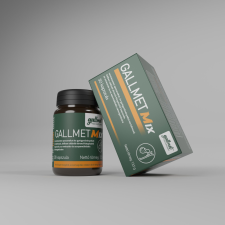 Gallmet-Mix-30 gyógynövény kapszula 30 db gyógyhatású készítmény
