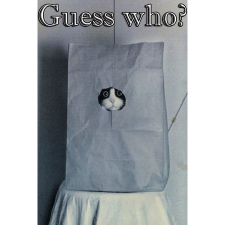 Game for people Guess who ? (PC - Steam elektronikus játék licensz) videójáték