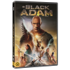 Gamma Home Entertainment Jaume Collet-Serra - Black Adam - DVD