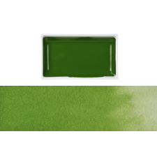 Gansai Tambi Kuretake Gansai Tambi Akvarell festék - Sap Green (1 db) akrilfesték