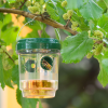 Garden Of Eden Szolár rovarcsapda - felakasztható GLO-11383