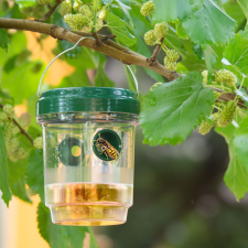 Garden Of Eden Szolár rovarcsapda - felakasztható GLO-11383 elektromos állatriasztó