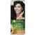 Garnier Garnier Color Naturals 1+ Ultra Black