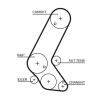 Gates Fogasszíj 5595XS